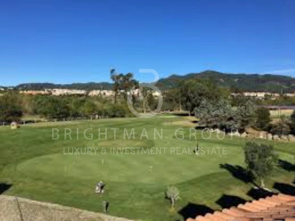 Terreno para Venda em Santa Maria e São Miguel, São Martinho, São Pedro Penaferrim Foto 14