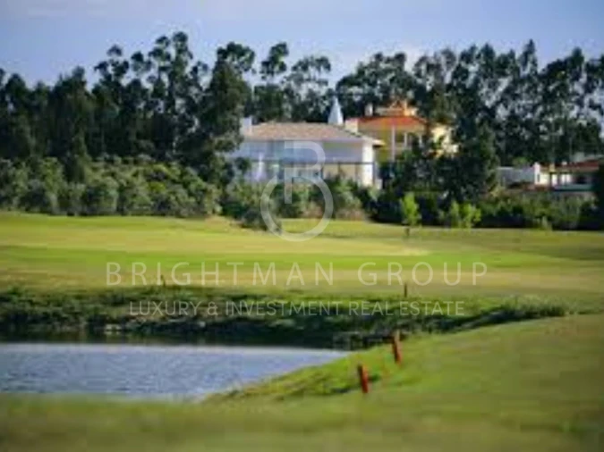 Terreno para Venda em Santa Maria e São Miguel, São Martinho, São Pedro Penaferrim Foto 15