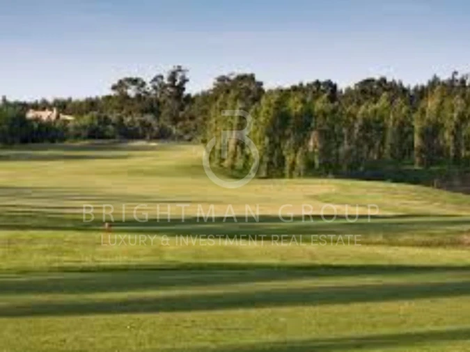 Terreno para Venda em Santa Maria e São Miguel, São Martinho, São Pedro Penaferrim Foto 2