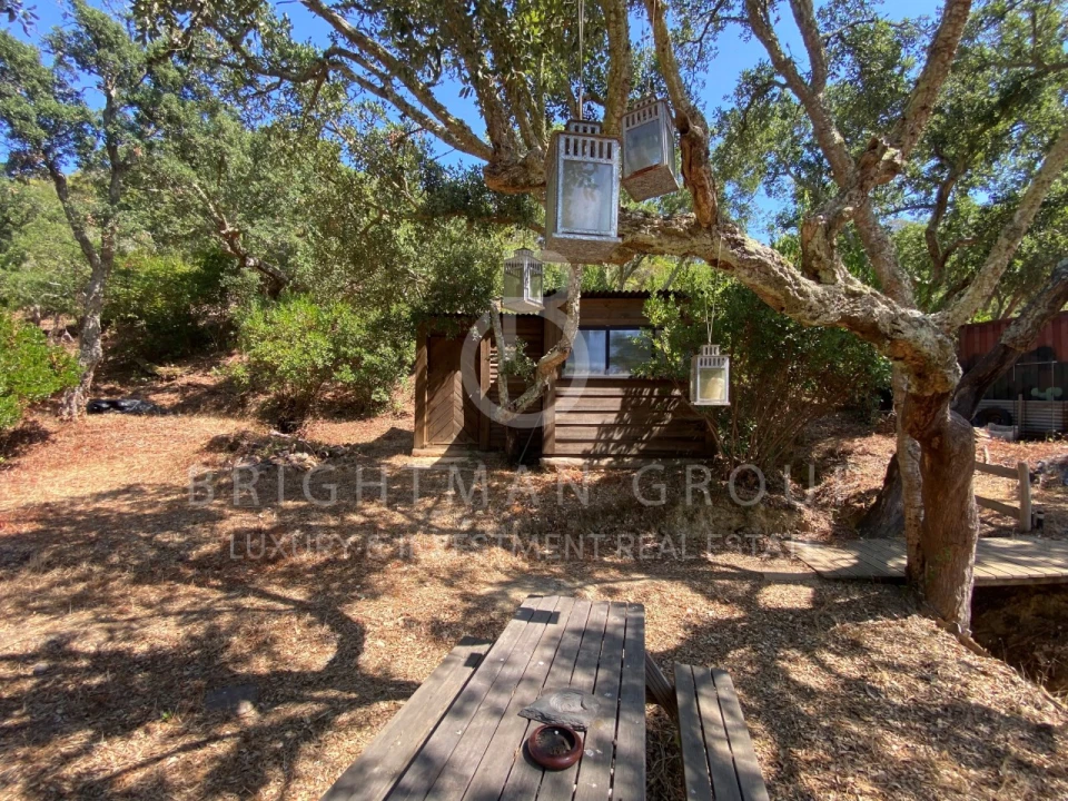 Terreno para Venda em Aljezur Foto 11