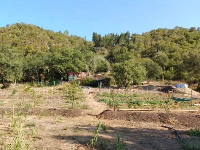 Terreno para Venda em Aljezur Foto 3