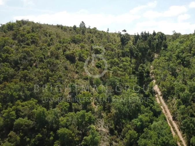 Terreno para Venda em Aljezur Foto 5