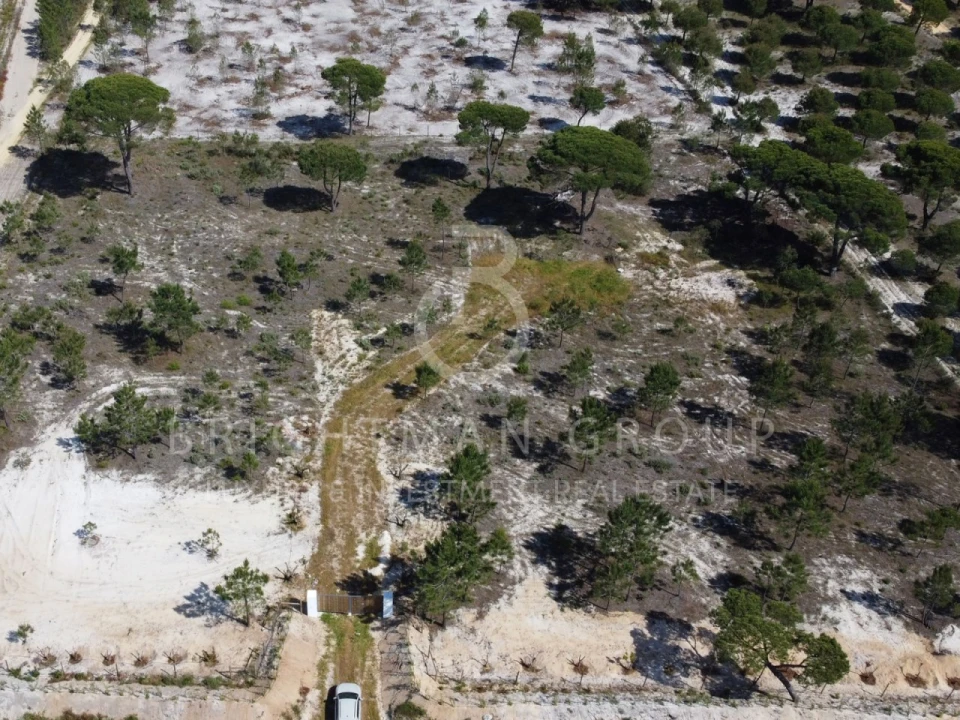 Terreno para Venda em Carvalhal Foto 3