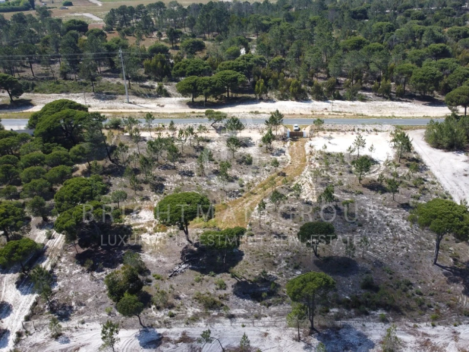 Terreno para Venda em Carvalhal Foto 5