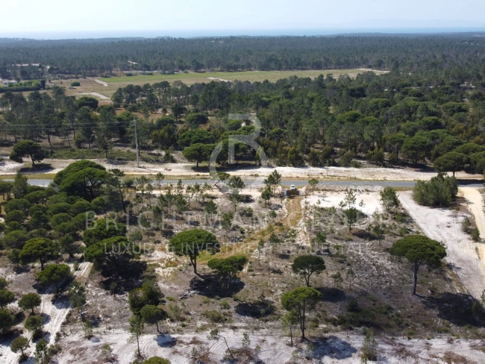 Terreno para Venda em Carvalhal Foto 6