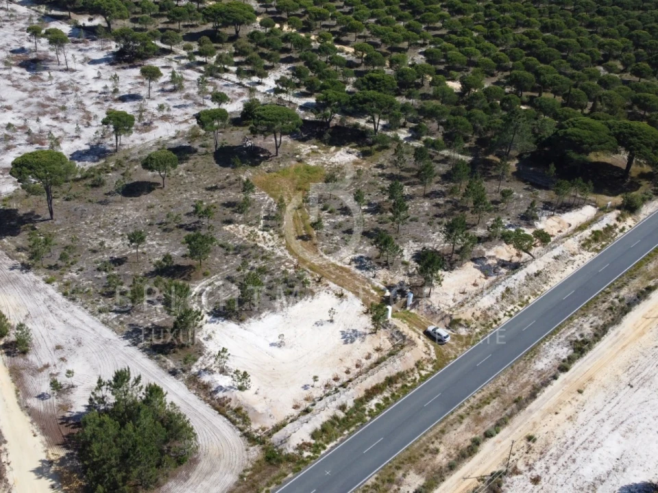 Terreno para Venda em Carvalhal Foto 10