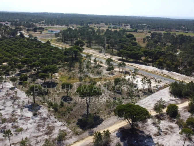 Terreno para Venda em Carvalhal Foto 7