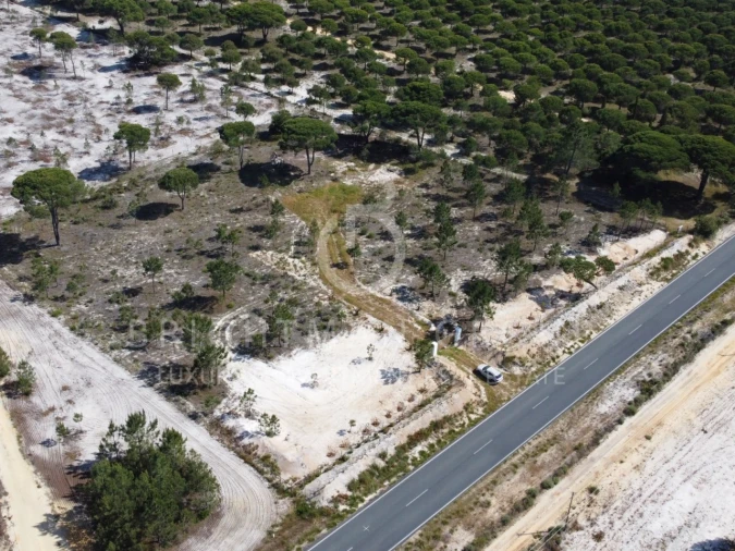 Terreno para Venda em Carvalhal Foto 10