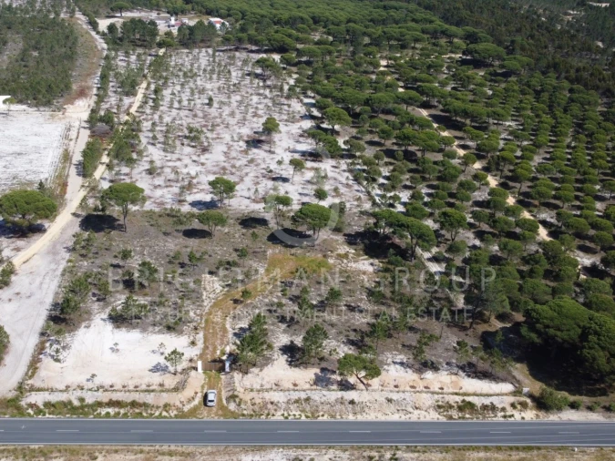 Terreno para Venda em Carvalhal Foto 11