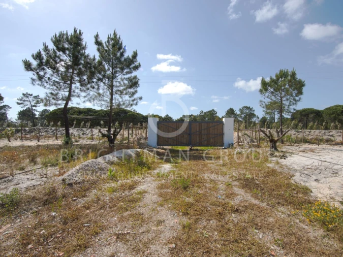 Terreno para Venda em Carvalhal Foto 13