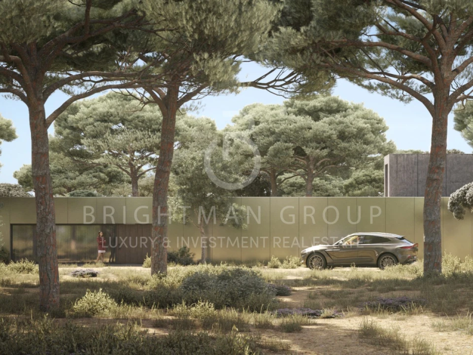 Terreno para Venda em Carvalhal Foto 7