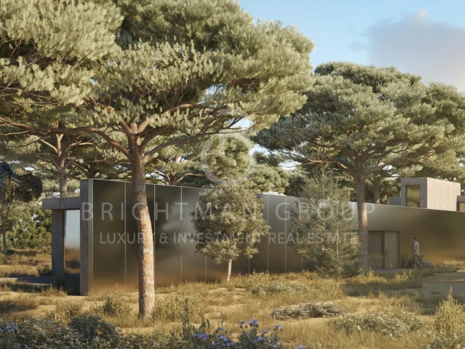 Terreno para Venda em Carvalhal Foto 2