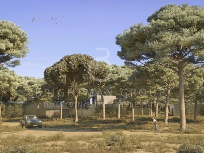 Terreno para Venda em Carvalhal Foto 9