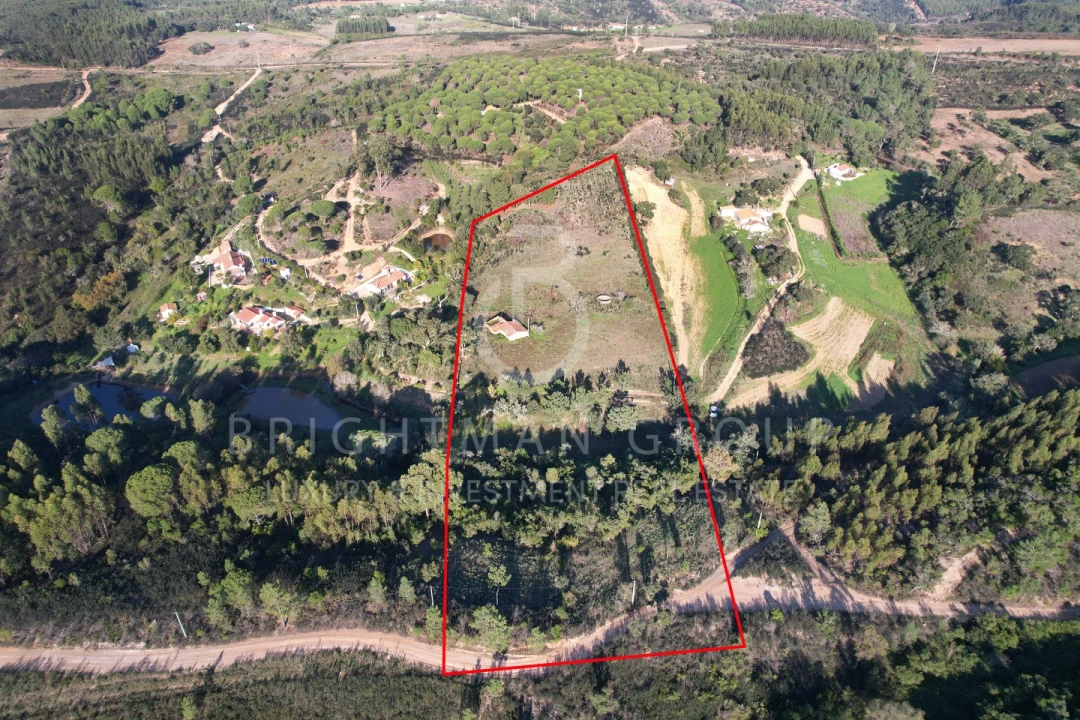 Terreno para Venda em São Teotónio Foto 1