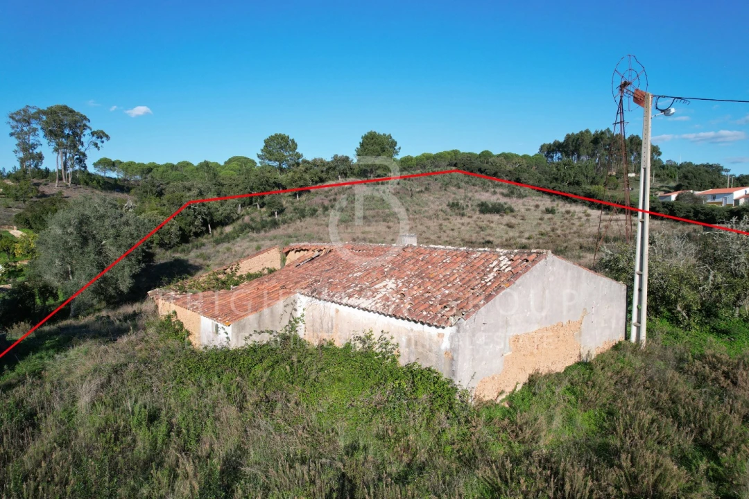 Terreno para Venda em São Teotónio Foto 7