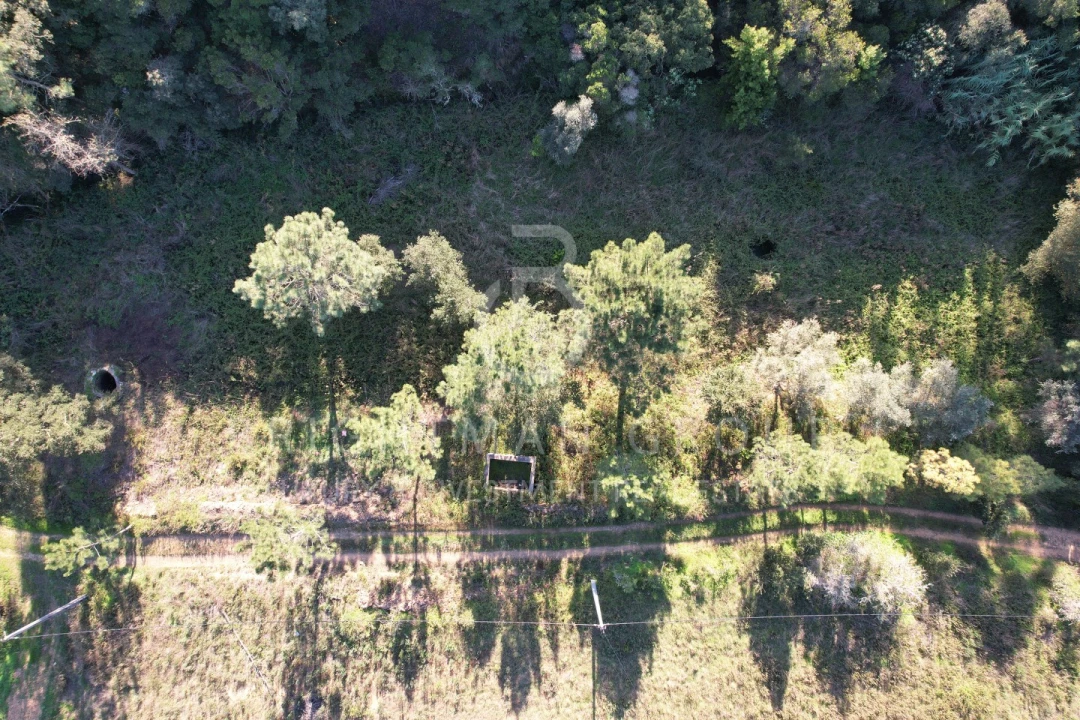 Terreno para Venda em São Teotónio Foto 10