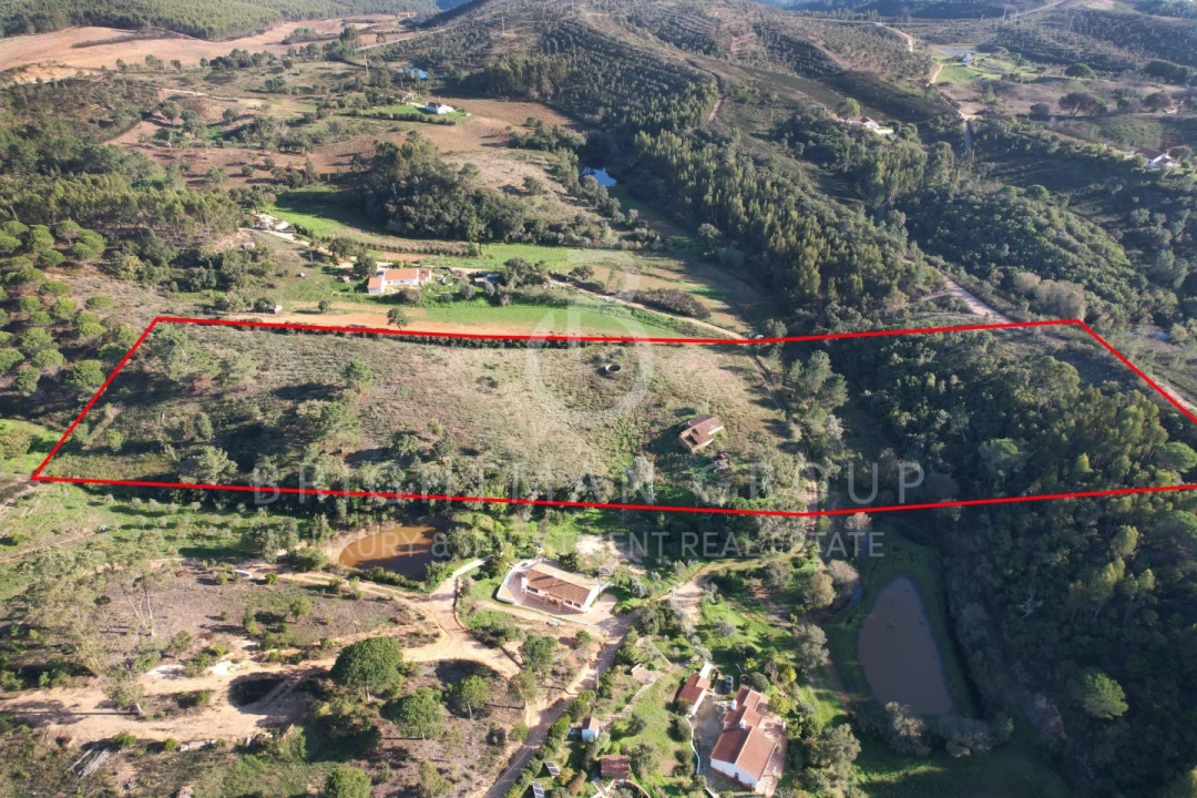 Terreno para Venda em São Teotónio Foto 2