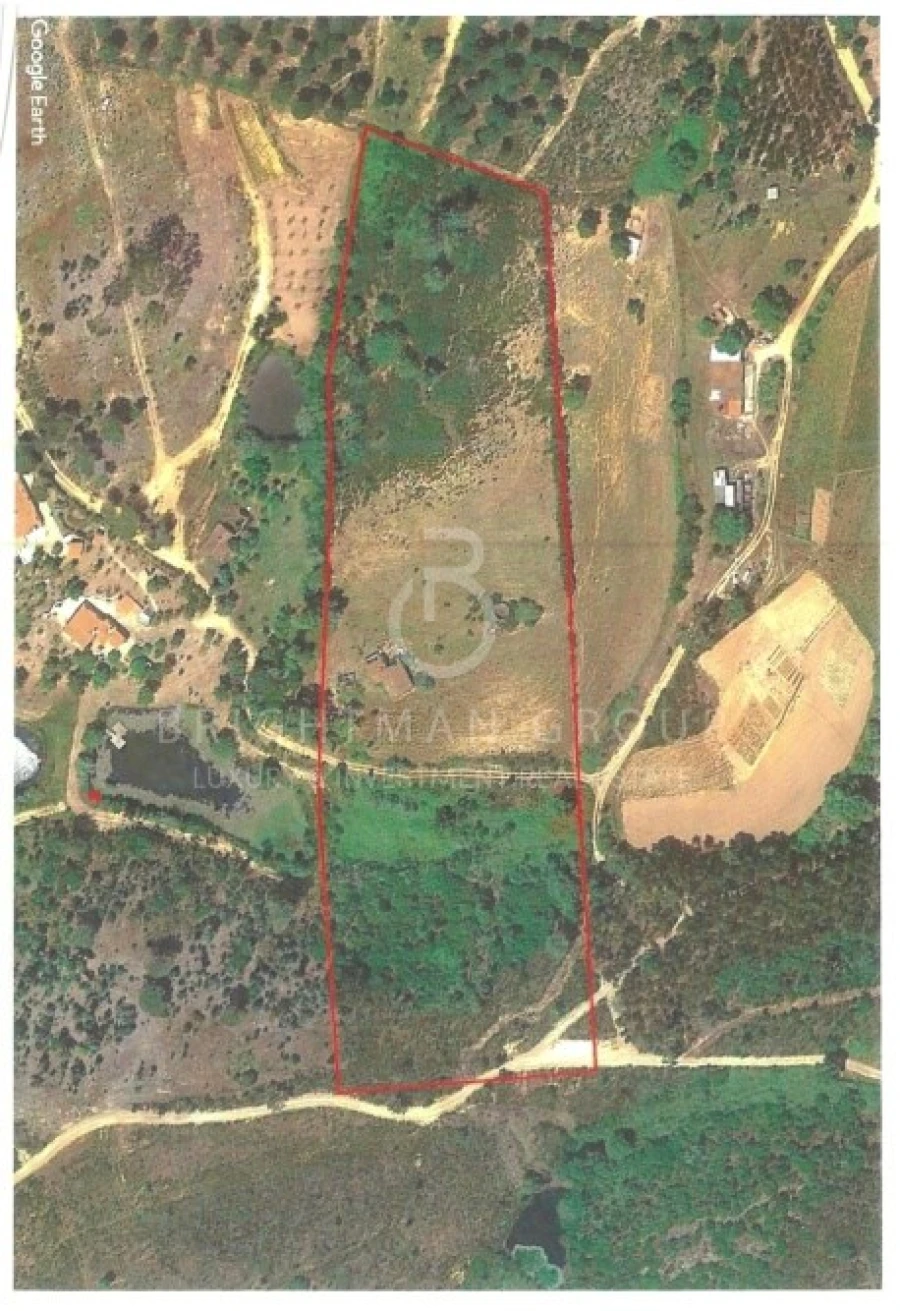 Terreno para Venda em São Teotónio Foto 3