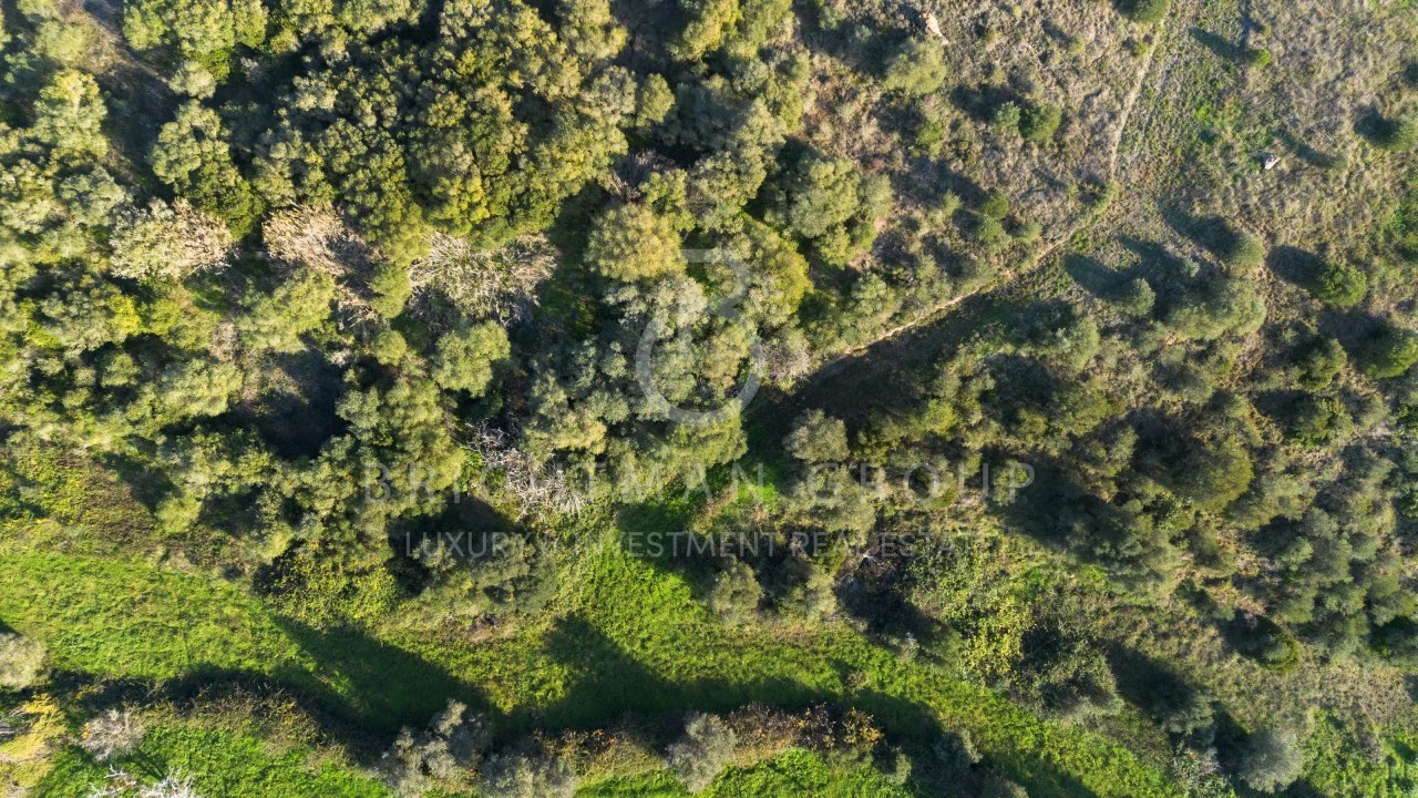 Terreno para Venda em Sesimbra (Castelo) Foto 21