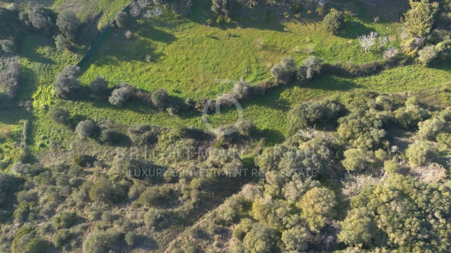 Terreno para Venda em Sesimbra (Castelo) Foto 9