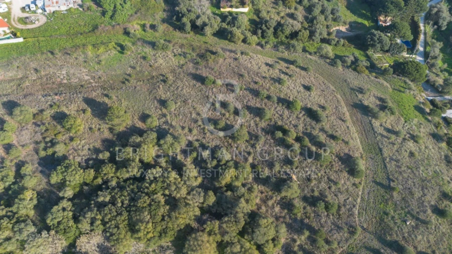 Terreno para Venda em Sesimbra (Castelo) Foto 16