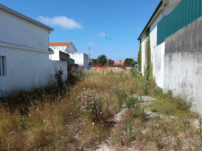 Terreno para Venda em Gafanha da Nazaré Foto 7