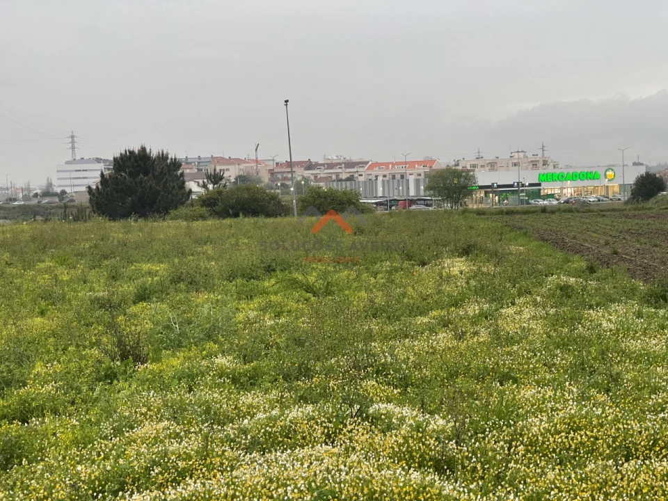 Terreno para Venda em Glória e Vera Cruz Foto 1