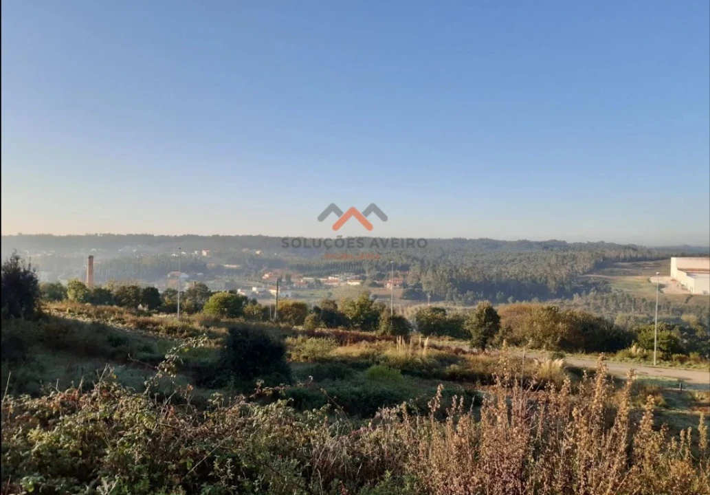Terreno para Venda em Oliveira do Bairro Foto 2