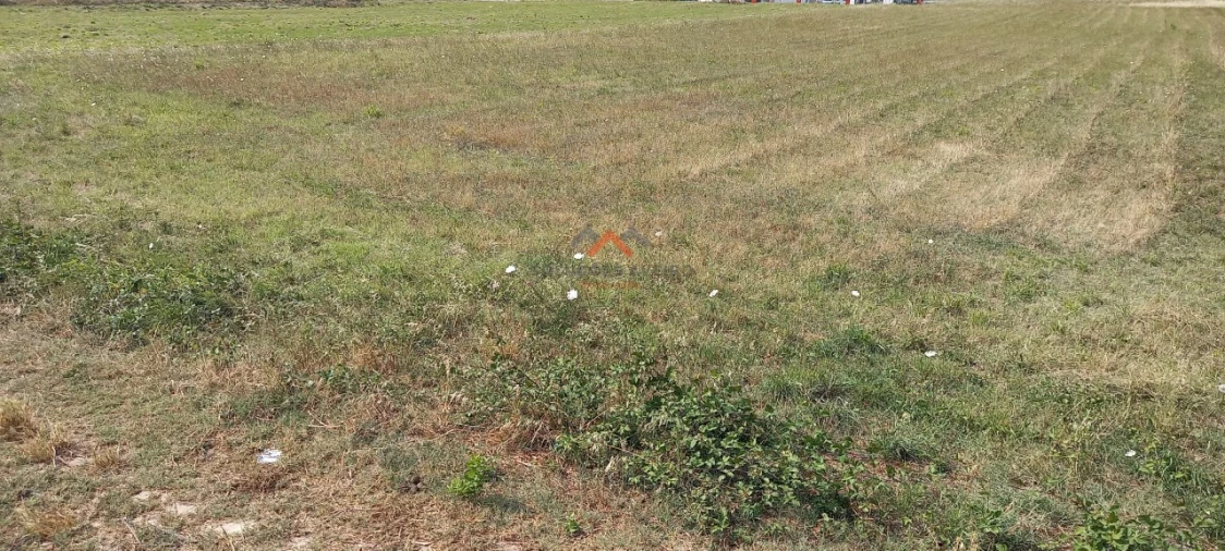 Terreno para Venda em Esgueira Foto 5