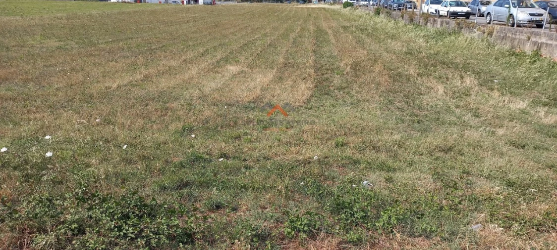 Terreno para Venda em Esgueira Foto 8