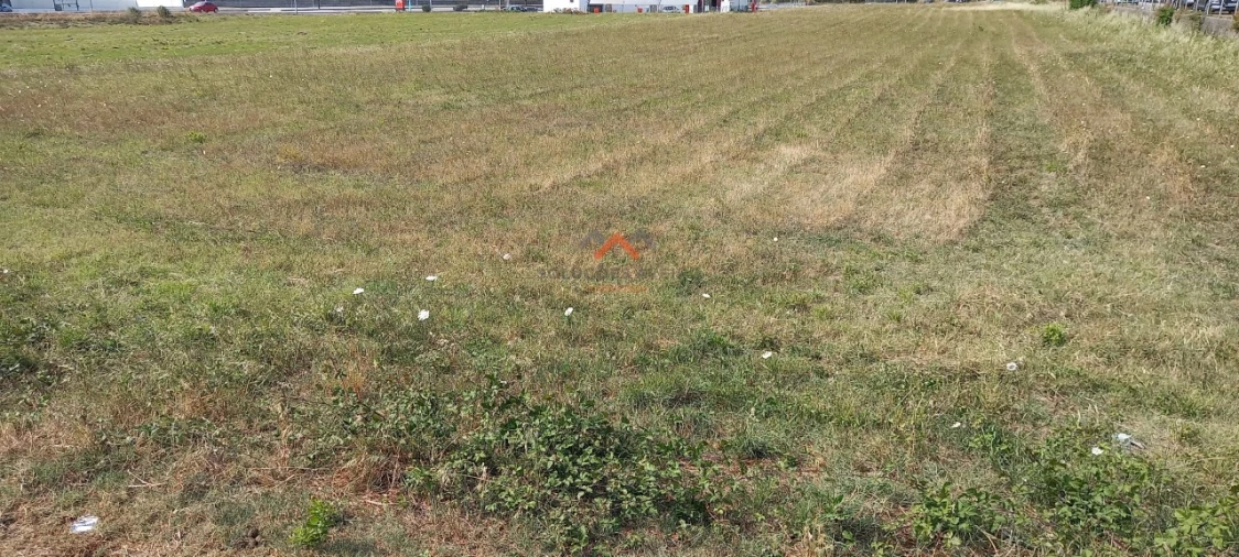 Terreno para Venda em Esgueira Foto 13