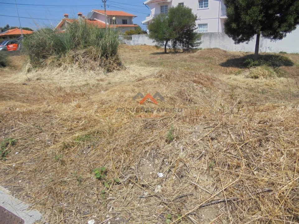 Terreno para Venda em Ílhavo (São Salvador) Foto 9