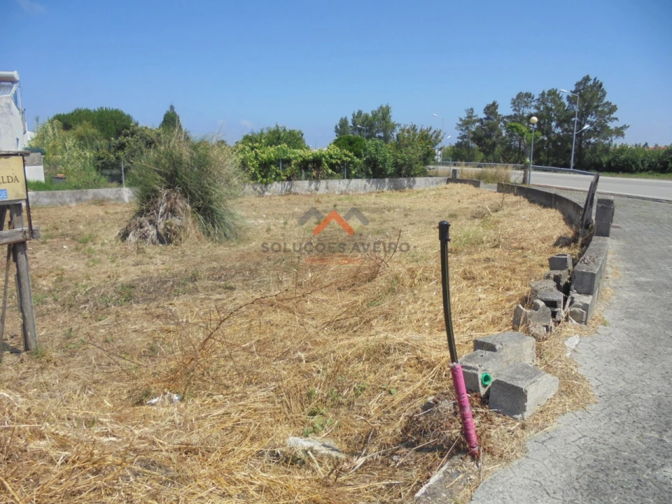 Terreno para Venda em Ílhavo (São Salvador) Foto 10