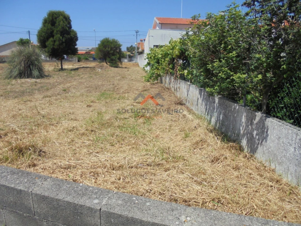 Terreno para Venda em Ílhavo (São Salvador) Foto 11