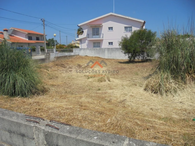 Terreno para Venda em Ílhavo (São Salvador) Foto 5