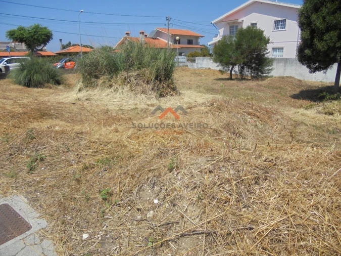 Terreno para Venda em Ílhavo (São Salvador) Foto 8