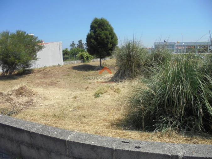 Terreno para Venda em Ílhavo (São Salvador) Foto 14