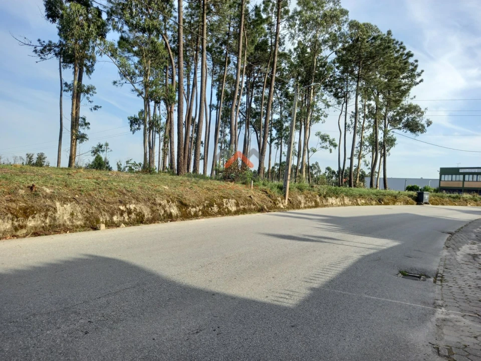 Terreno para Venda em Requeixo, Nossa Senhora de Fátima e Nariz Foto 1