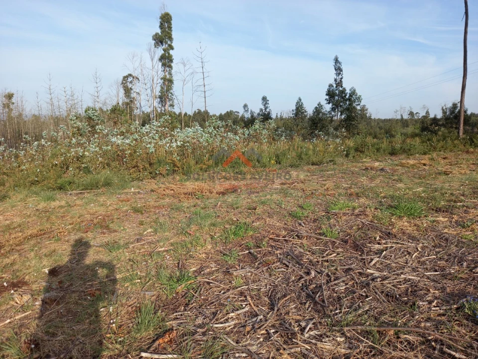 Terreno para Venda em Requeixo, Nossa Senhora de Fátima e Nariz Foto 5