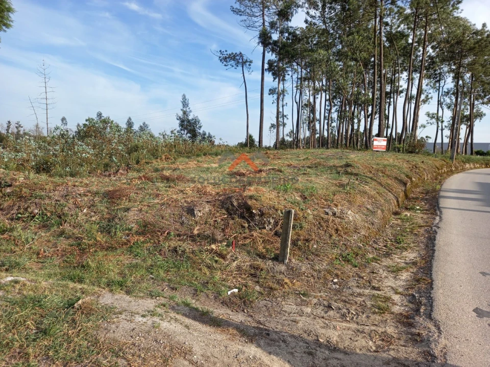 Terreno para Venda em Requeixo, Nossa Senhora de Fátima e Nariz Foto 11