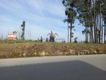 Terreno para Venda em Requeixo, Nossa Senhora de Fátima e Nariz
