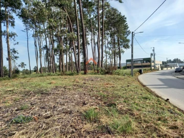 Terreno para Venda em Requeixo, Nossa Senhora de Fátima e Nariz