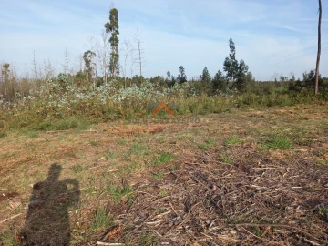 Terreno para Venda em Requeixo, Nossa Senhora de Fátima e Nariz