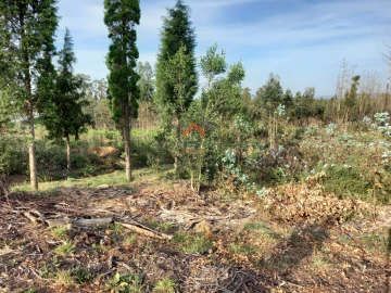 Terreno para Venda em Requeixo, Nossa Senhora de Fátima e Nariz