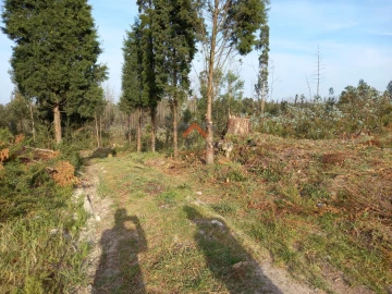 Terreno para Venda em Requeixo, Nossa Senhora de Fátima e Nariz