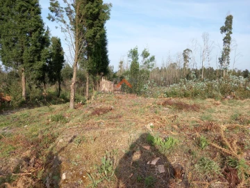 Terreno para Venda em Requeixo, Nossa Senhora de Fátima e Nariz