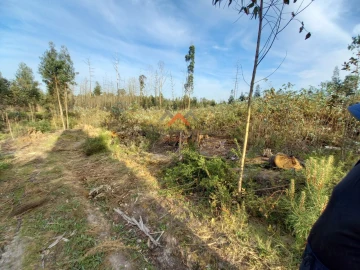 Terreno para Venda em Requeixo, Nossa Senhora de Fátima e Nariz