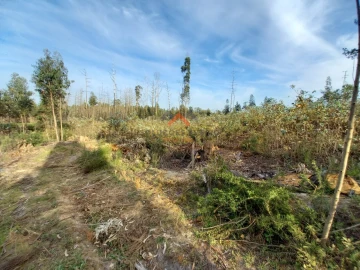 Terreno para Venda em Requeixo, Nossa Senhora de Fátima e Nariz
