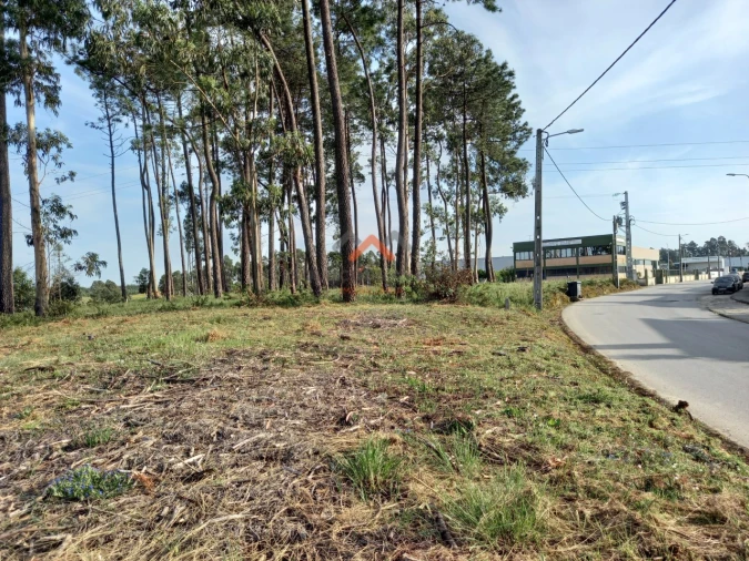Terreno para Venda em Requeixo, Nossa Senhora de Fátima e Nariz Foto 4