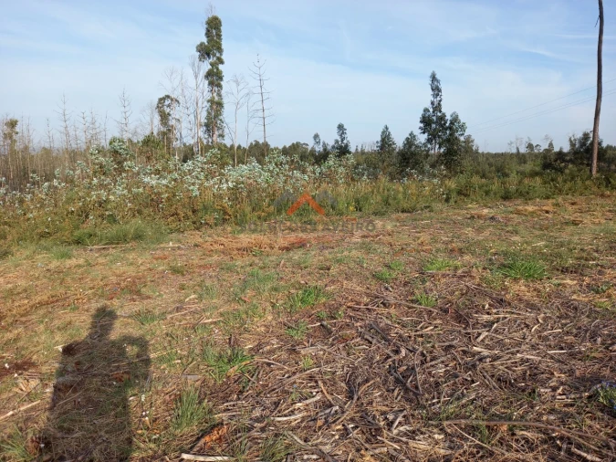 Terreno para Venda em Requeixo, Nossa Senhora de Fátima e Nariz Foto 5